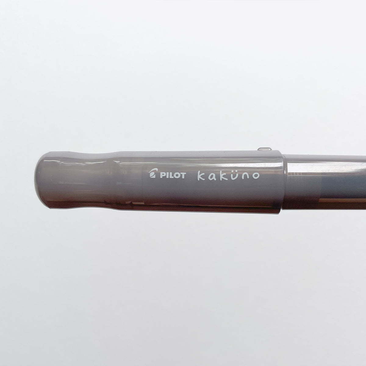 Kakuno Fountain Pen (M) / PILOT